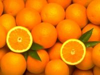 Fresh Oranges and Lemon