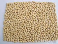 Sell blanched peanut