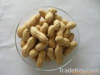 Sell peanut in shell