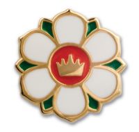 pin badge