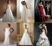 Bridal Gown / Wedding Dress / Bridesmaid