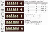 Sell Denture & Implants Materials - Multicolor Resin Teeth