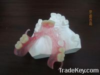 Sell Dental Removable Full and partial Flexible Denture Base