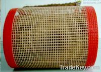 Sell ptfe coated fiberglass open mesh conveying belt