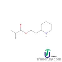 Piperidinoethyl methacrylate