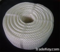 Sell Polyester rope