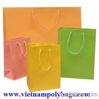 Sell Paper shopping bag - vietnampolybags.com