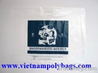 Sell promotional best quality Pathch andle plastic bags