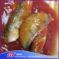 canned sardine fish in tomato sauce