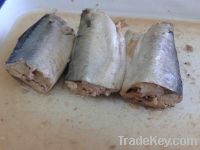 425g canned mackerel in brine high quality with competitive price