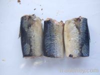 425g canned mackerel in oil