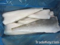Supply Light salted Atlantic Cod fillets