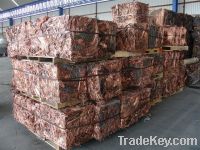 Copper Wire Scraps Suppliers | Copper Scrap Exporters | Copper Scrap Manufacturers | Cheap Copper Scrap | Wholesale Copper Scraps | Discounted Copper Scrap | Bulk Copper Scraps | Copper Scrap Buyer | Import Copper Scrap | Copper Scrap Importers | Copper S