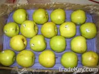 Sell Golden Delicious Apples