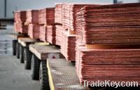 Copper Cathodes 99.99%