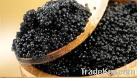 Frozen Black Caviar