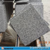 Sell Promotion - China Granite 603