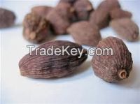 High quality black Cardamom