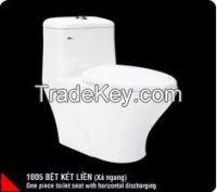 One piece toilet 1005