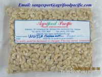 Sell VIETNAM CASHEW NUTS w240, w320, w450, WS, SW, LBW, LP, SP