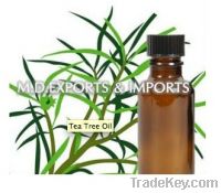 Sell Tea Tree Oil