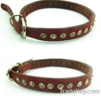 Sell pet leather collars