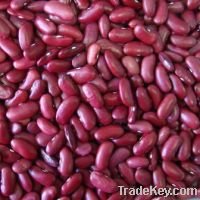 Sell kidney beans