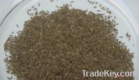 Sell Cumin Seeds