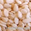 Sell sesame seeds, jatrophe seeds