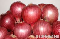 Sell  Indian Red Onions/ Fresh Bangalore Rose Onions