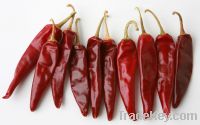 Red chili for sale