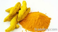 Turmeric for sale