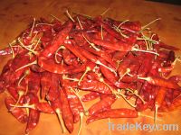 hot dry red chilli