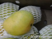 mango For sell