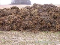 natural manure