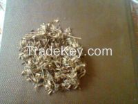 Dinanath Grass / Forage / Fodder Seeds ( Pennis )