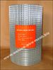 Sell Hot Dip Gal. Welded Wire Mesh