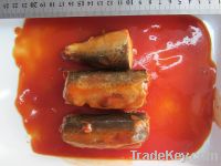 Sell canned mackerel in tomato sacue 425g/240g