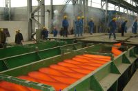 Steel coil steel strip steel plate  rolling mill production line
