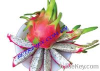 Sell Dragon Fruit