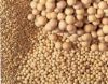 Sell Molecular Sieves (at competitive price)