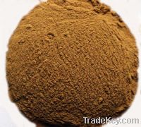 Sell Dandelion Extract