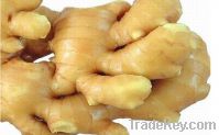Sell washed ginger and air dry ginger