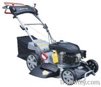 Sell GASOLINE POWERED LAWN MOWER PLM510MP