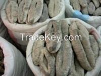 DRIED SEA CUCUMBER