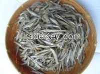 Dried Anchovy, Anchovy, Dried Fish