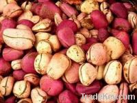 Sell Kola nuts