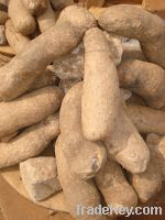 Yam tuber