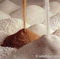 Sell brazilian cane sugar