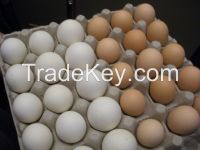 Brown and white Table eggs